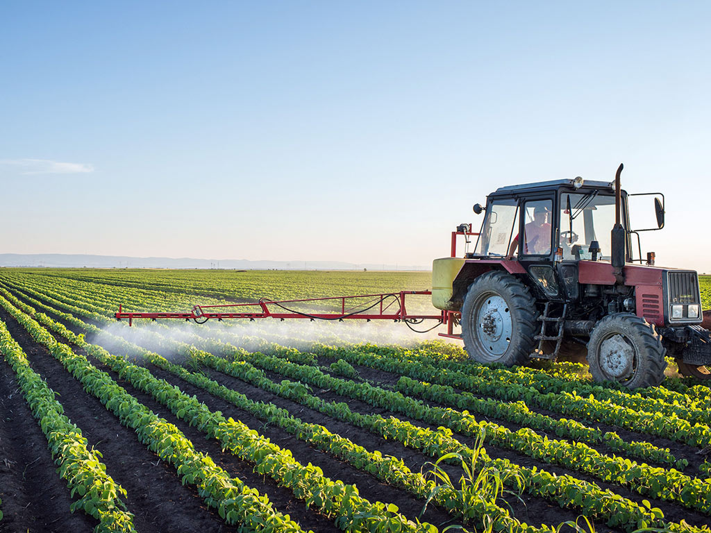 AI & Sensor Networks: Smart Farming in Action