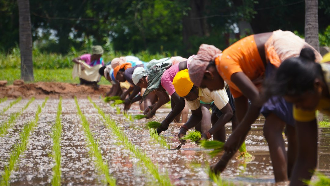 Farmers being trained in the field